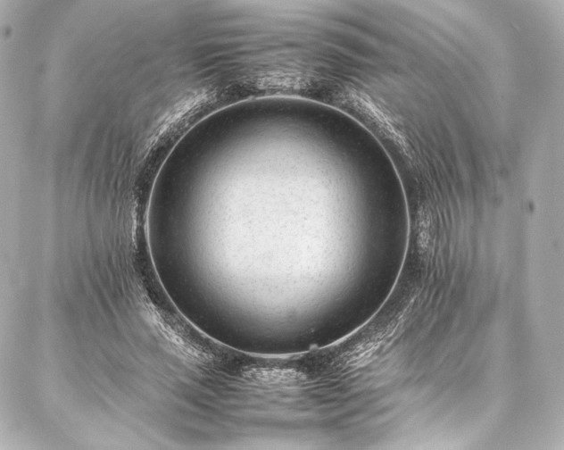 X0000086970637200704231516