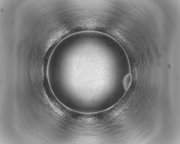 X0000086970638200704231516