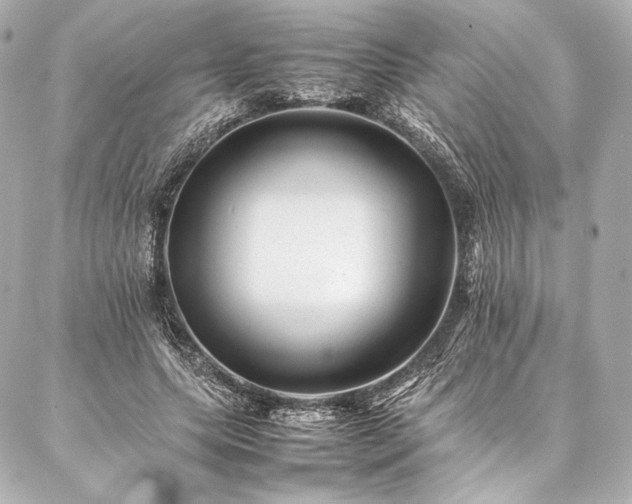 X0000086970639200704231516