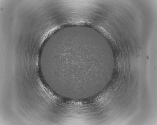 X0000086970640200704231516