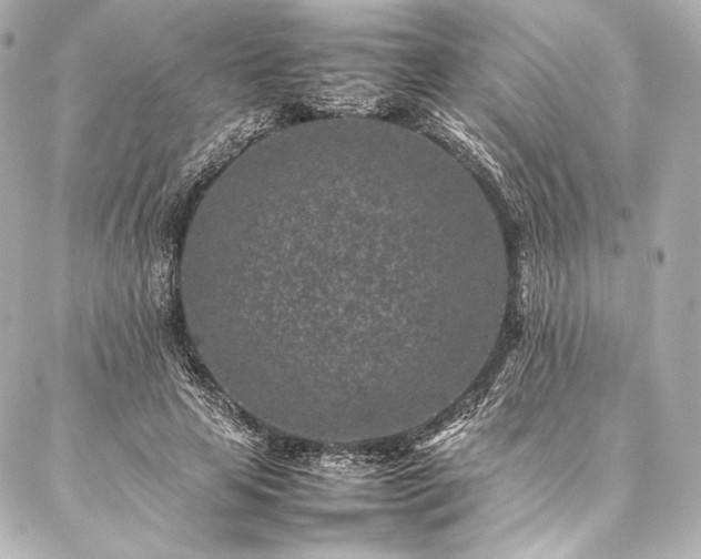 X0000086970641200704231516