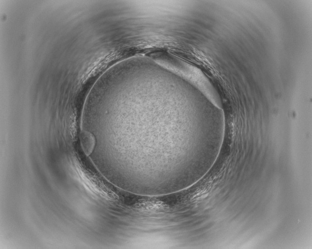 X0000086970642200704231516