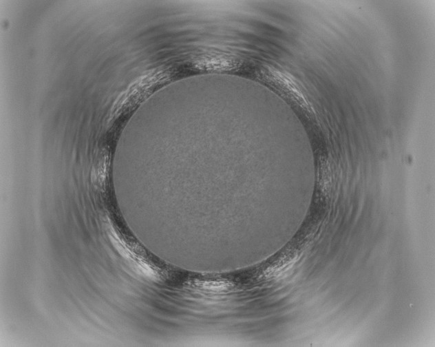 X0000086970645200704231516