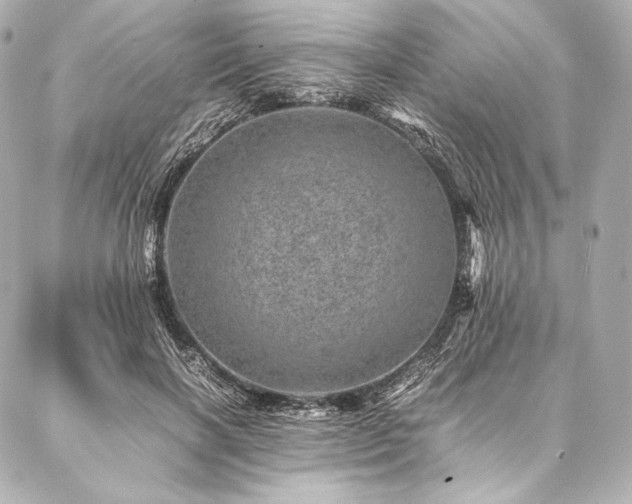 X0000086970646200704231516