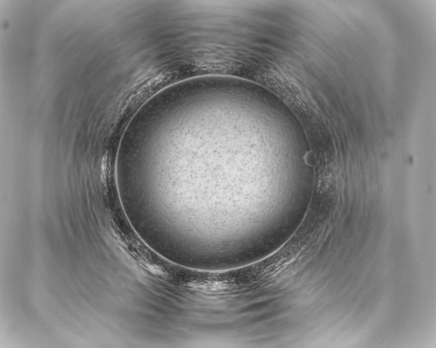 X0000086970647200704231516