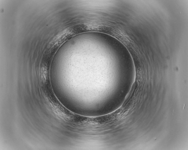 X0000086970648200704231516