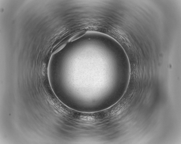 X0000086970649200704231516