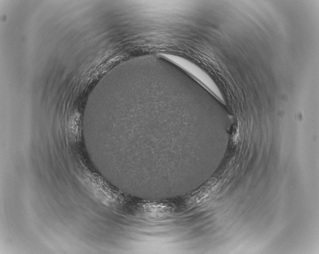 X0000086970650200704231517