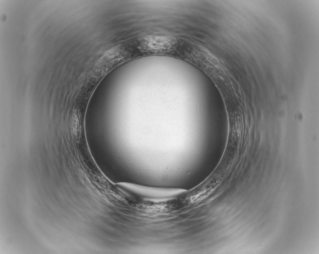 X0000086970651200704231517