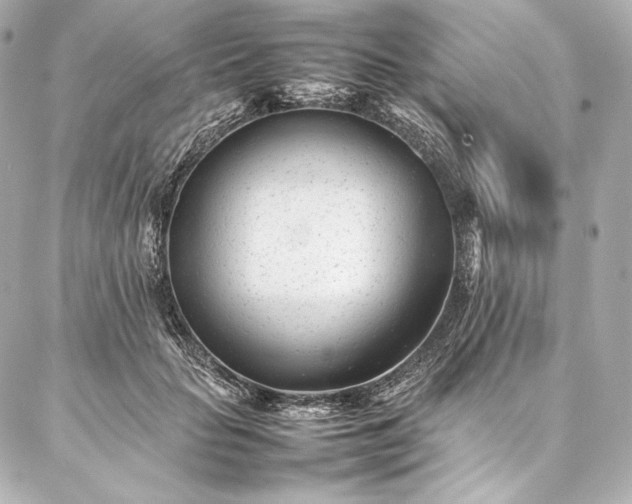 X0000086970653200704231517