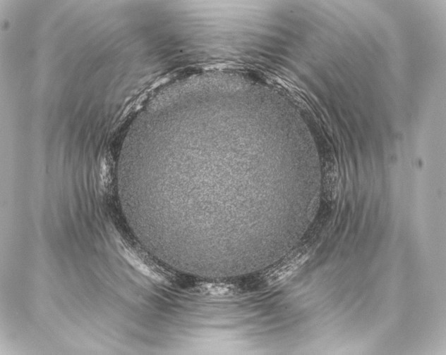 X0000086970654200704231517