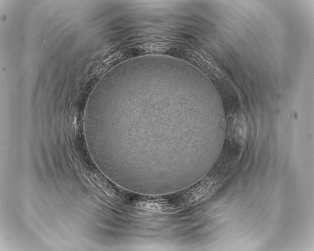 X0000086970655200704231517