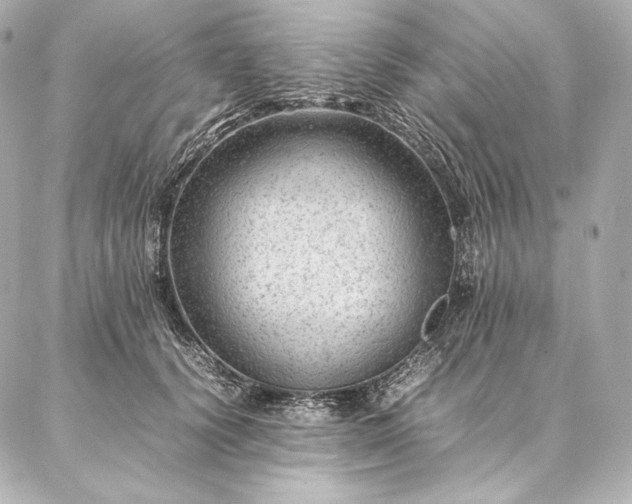 X0000086970656200704231517