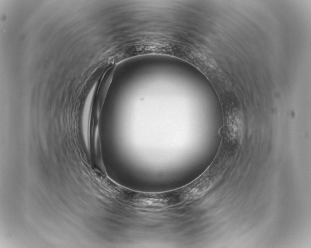 X0000086970657200704231517