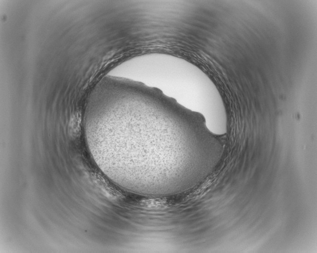 X0000086970660200704231517