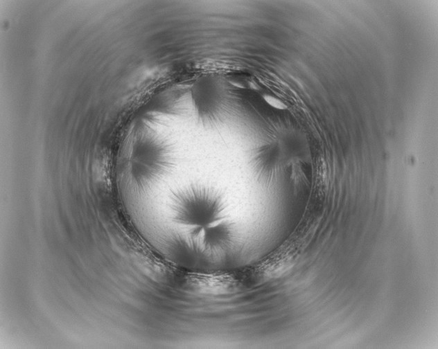 X0000086970663200704231517