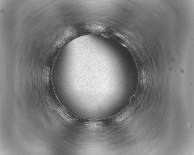 X0000086970664200704231517