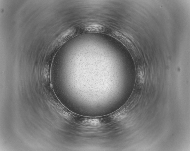 X0000086970665200704231517