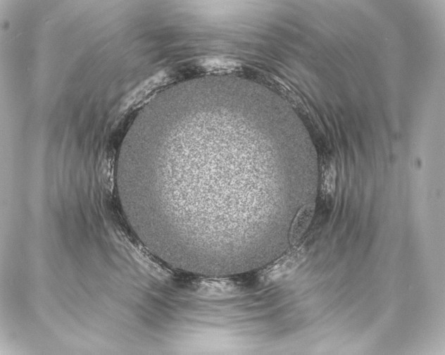 X0000086970666200704231517