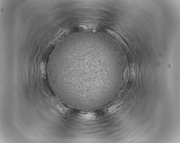 X0000086970667200704231517