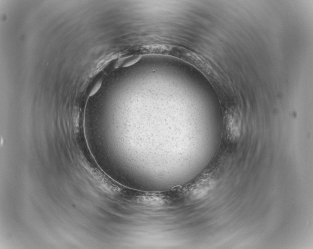 X0000086970668200704231517