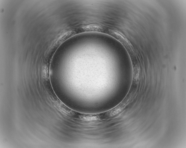 X0000086970669200704231517