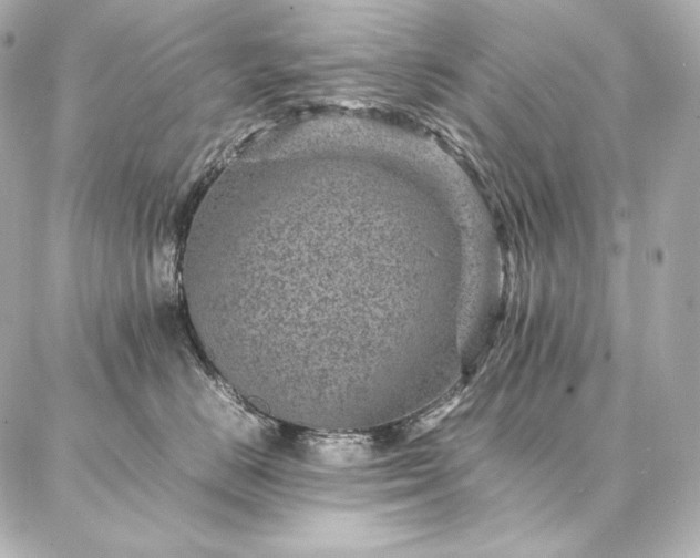 X0000086970670200704231517