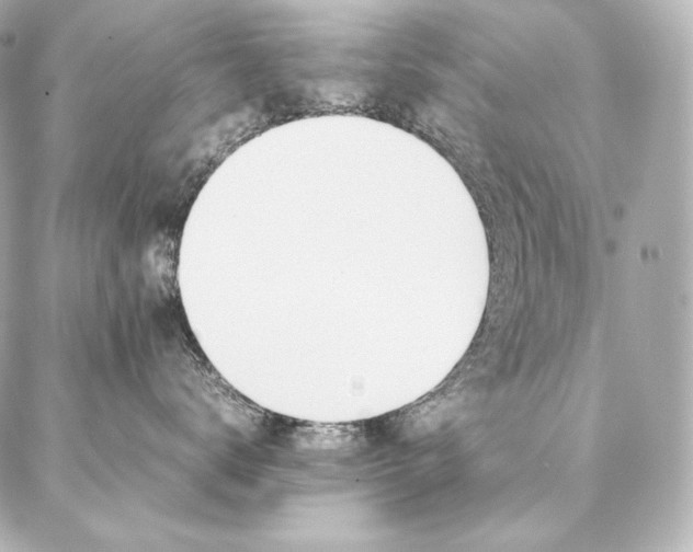 X0000086970672200704231517