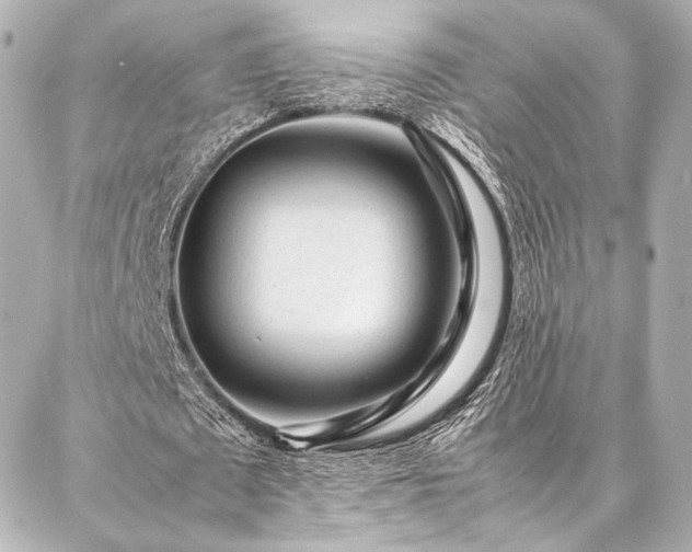 X0000086970673200704231516