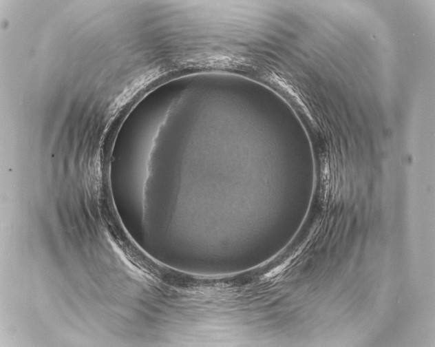 X0000086970674200704231516