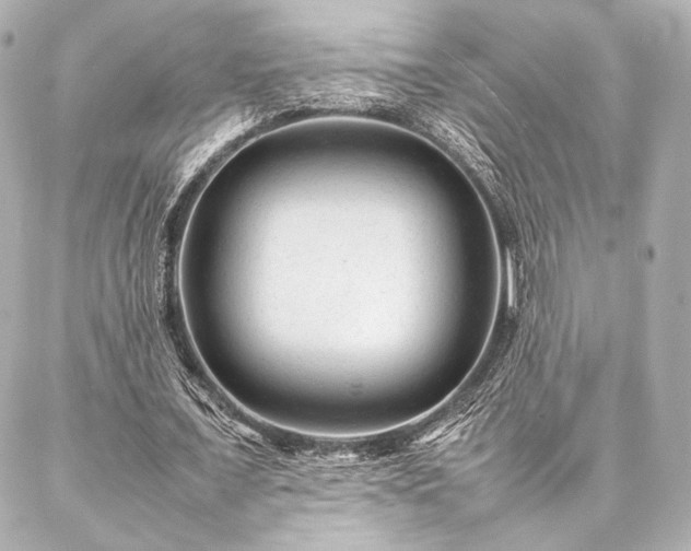 X0000086970675200704231516