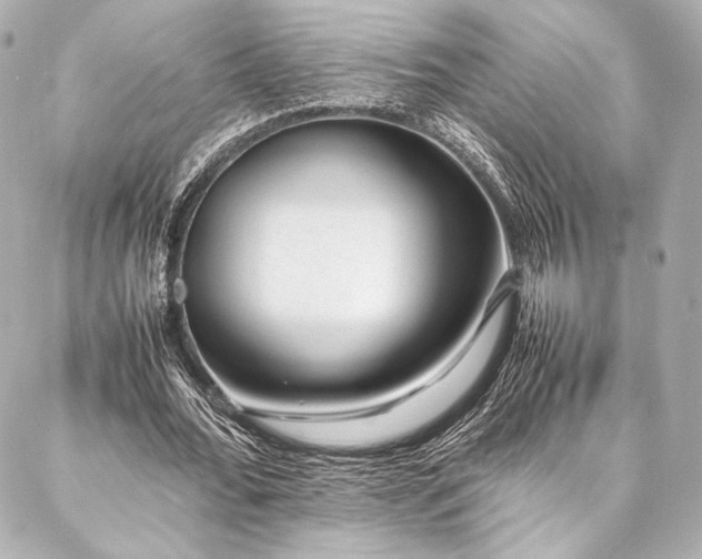 X0000086970676200704231516