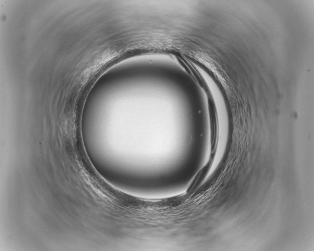 X0000086970677200704231516