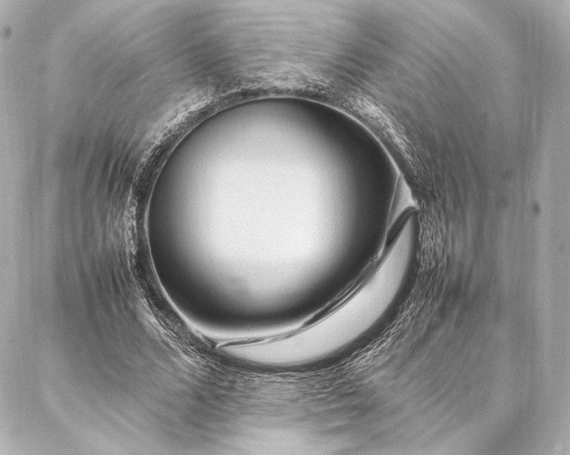 X0000086970680200704231516