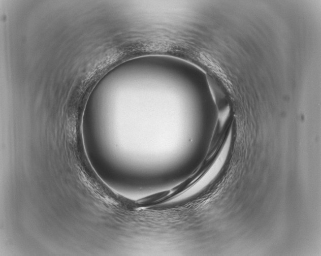 X0000086970681200704231516