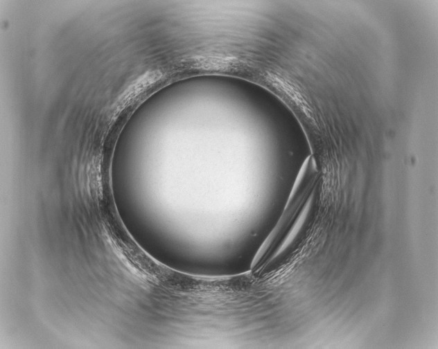 X0000086970682200704231516