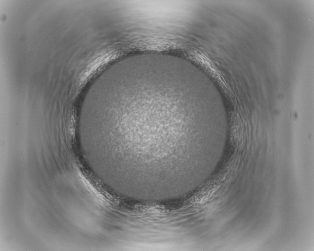 X0000086970683200704231516