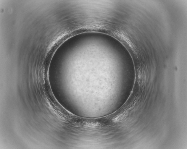 X0000086970684200704231516