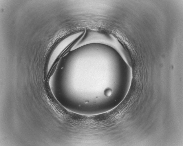 X0000086970685200704231516