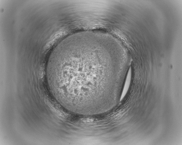 X0000086970687200704231516