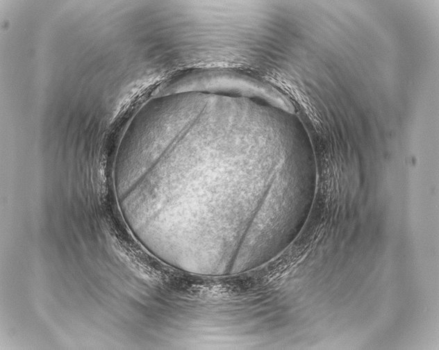 X0000086970688200704231516