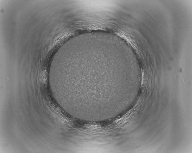 X0000086970689200704231516