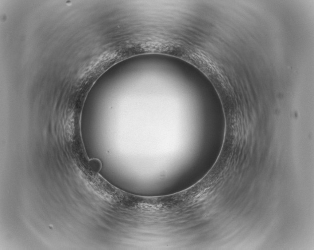 X0000086970690200704231516