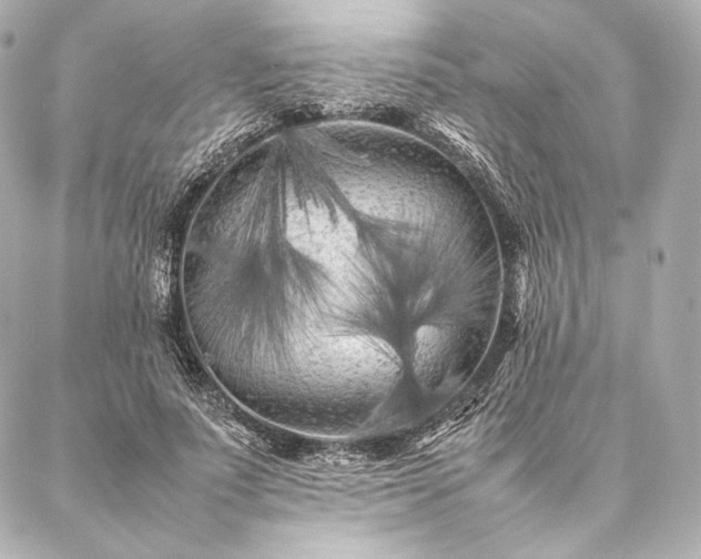 X0000086970691200704231516