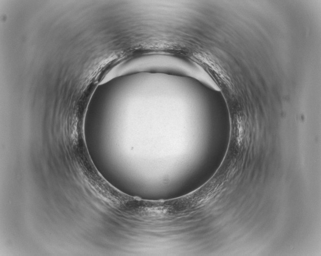 X0000086970692200704231516