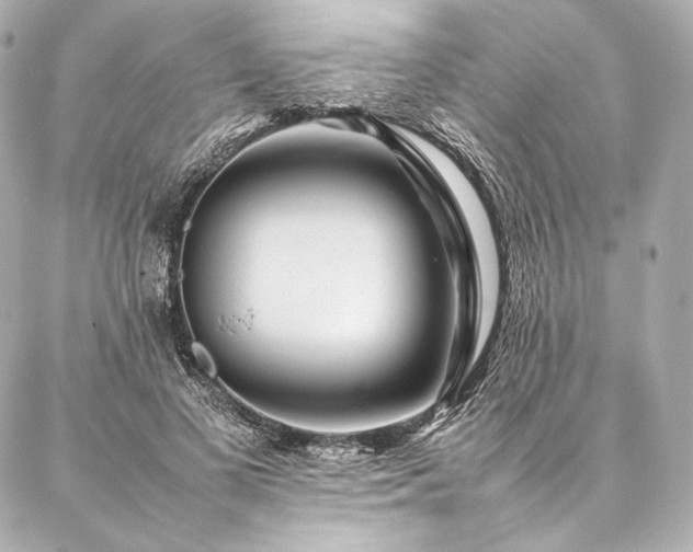 X0000086970693200704231516