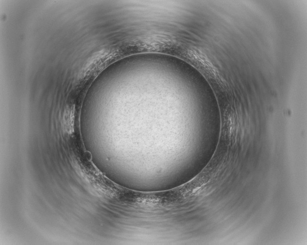 X0000086970694200704231516