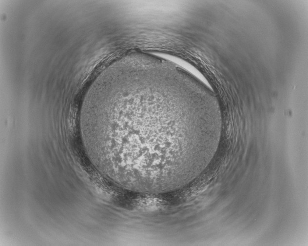 X0000086970695200704231516