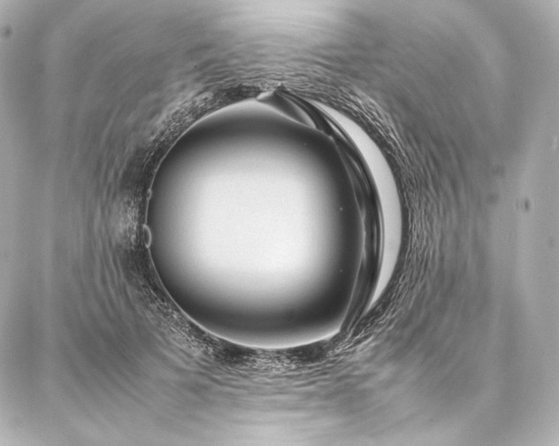 X0000086970697200704231516