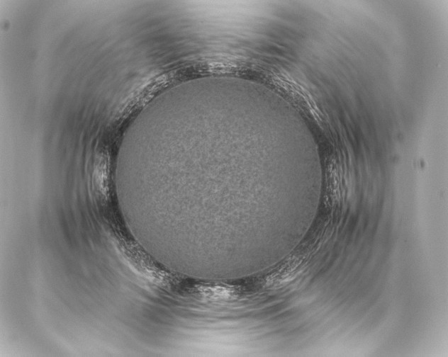 X0000086970698200704231516